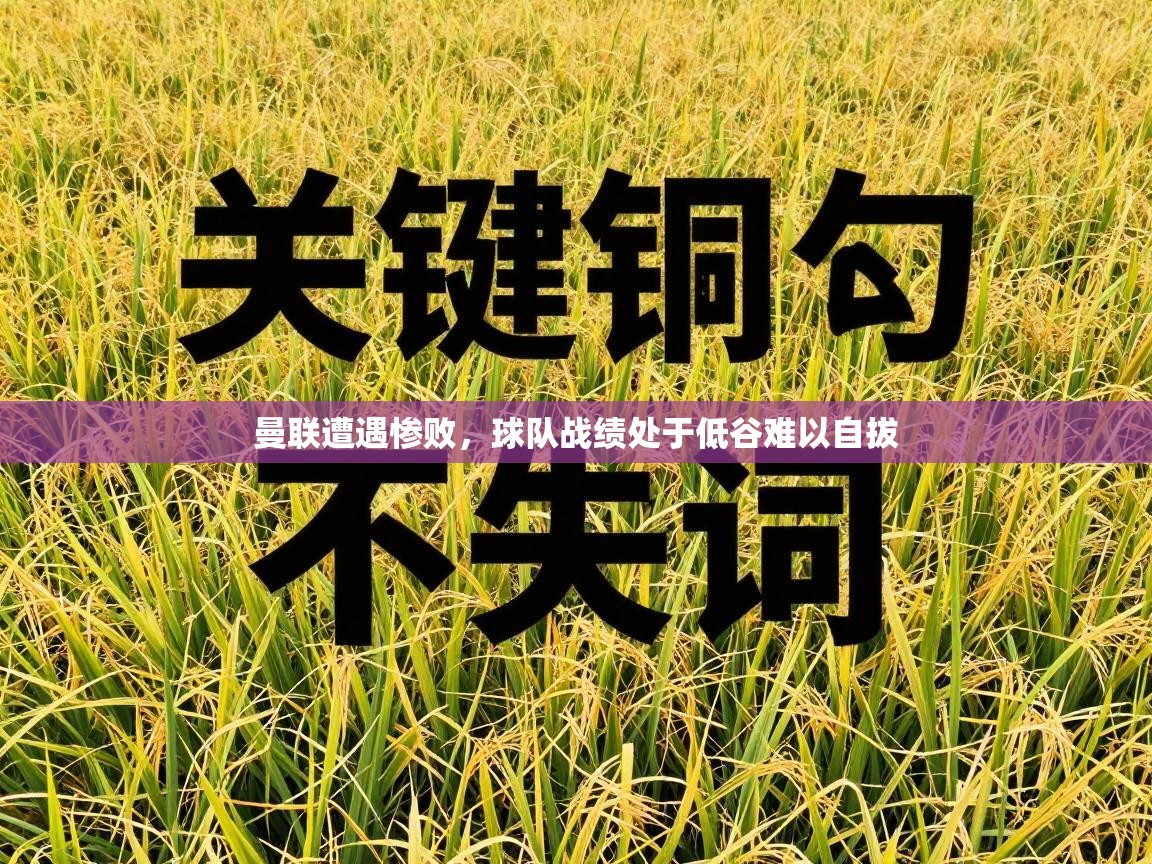 曼联遭遇惨败，球队战绩处于低谷难以自拔  第1张