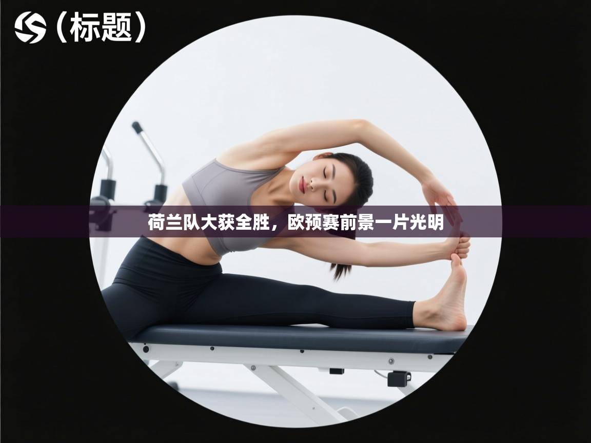 荷兰队大获全胜,欧预赛前景一片光明 第1张