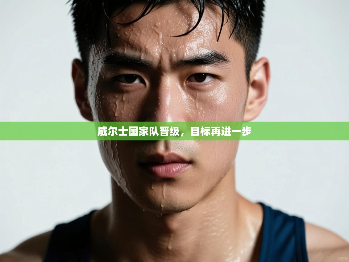 威尔士国家队晋级,目标再进一步 第1张