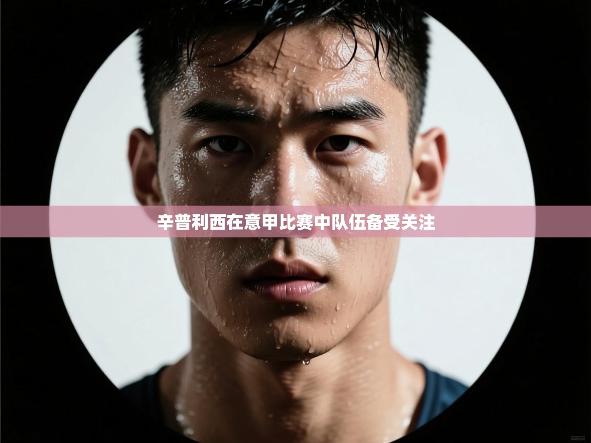 辛普利西在意甲比赛中队伍备受关注 第1张